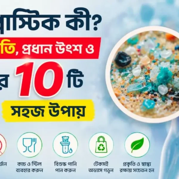 মাইক্রোপ্লাস্টিক কী, শরীরে এর ক্ষতি, প্রধান উৎস ও প্রতিরোধের ১০টি সহজ উপায়