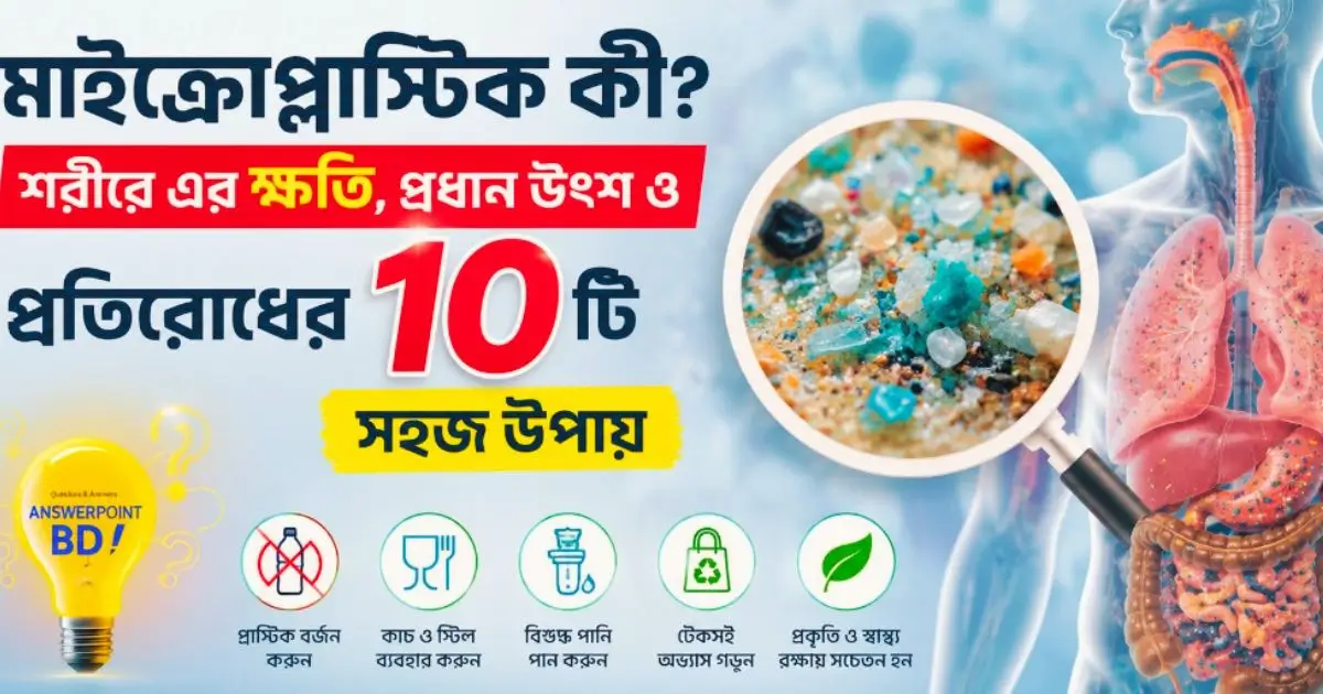 মাইক্রোপ্লাস্টিক কী, শরীরে এর ক্ষতি, প্রধান উৎস ও প্রতিরোধের ১০টি সহজ উপায়